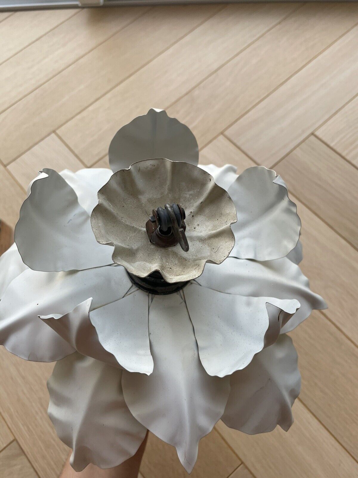 Wall lamp shape flowers