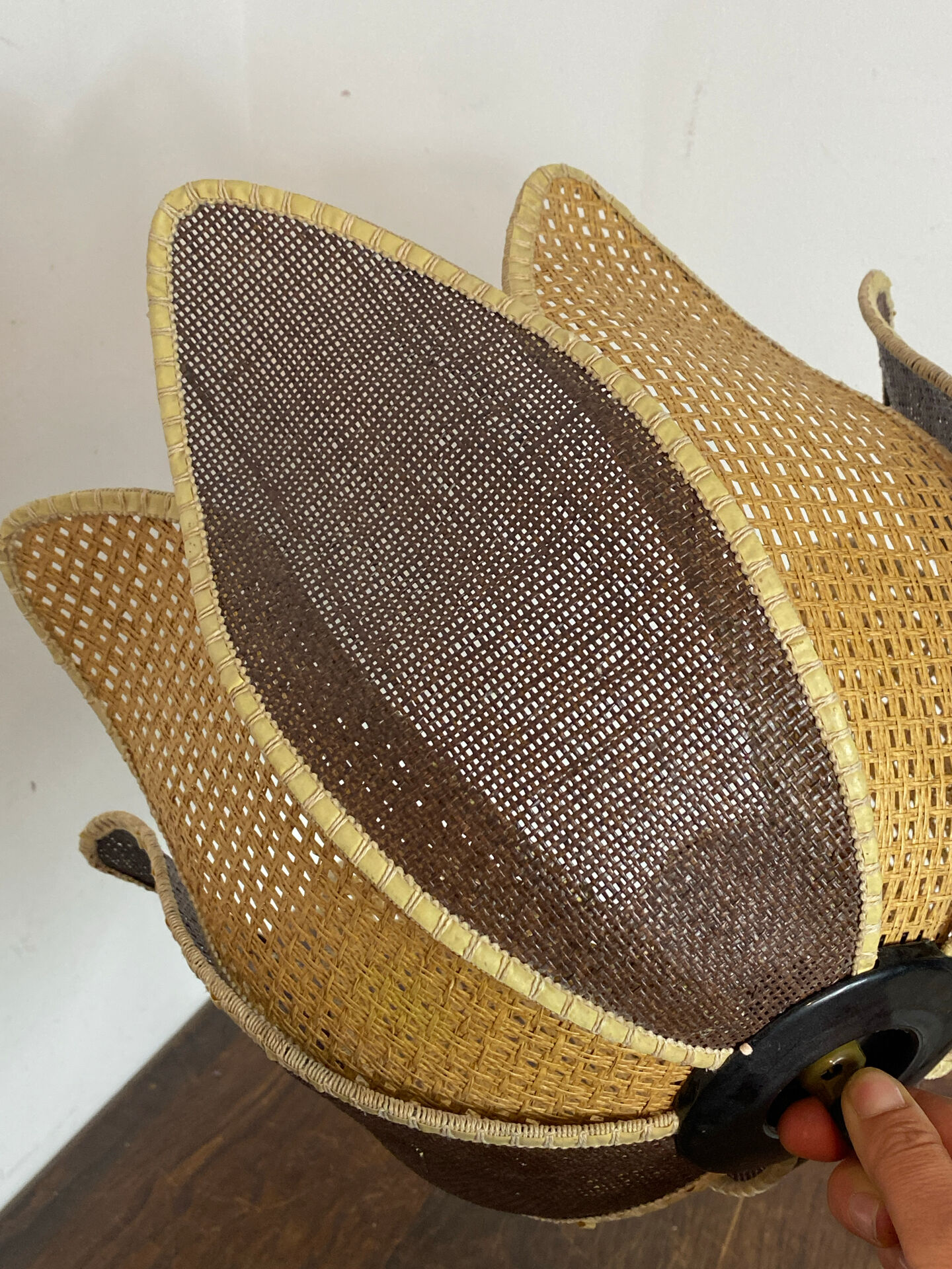 Organic rattan suspension