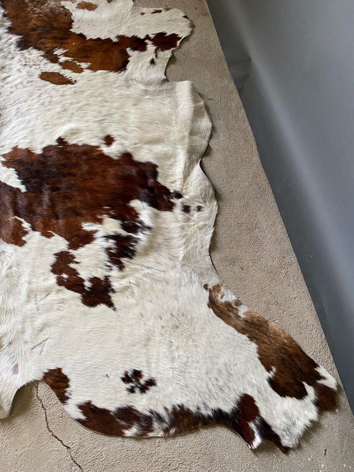 Cowhide carpet white and brown 1970 230 x 219