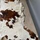 Cowhide carpet white and brown 1970 230 x 219