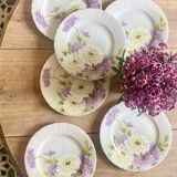 Set of 6 old flat plates - Reine Marguerite de KG Lunéville -