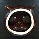 Owl pocket emptier