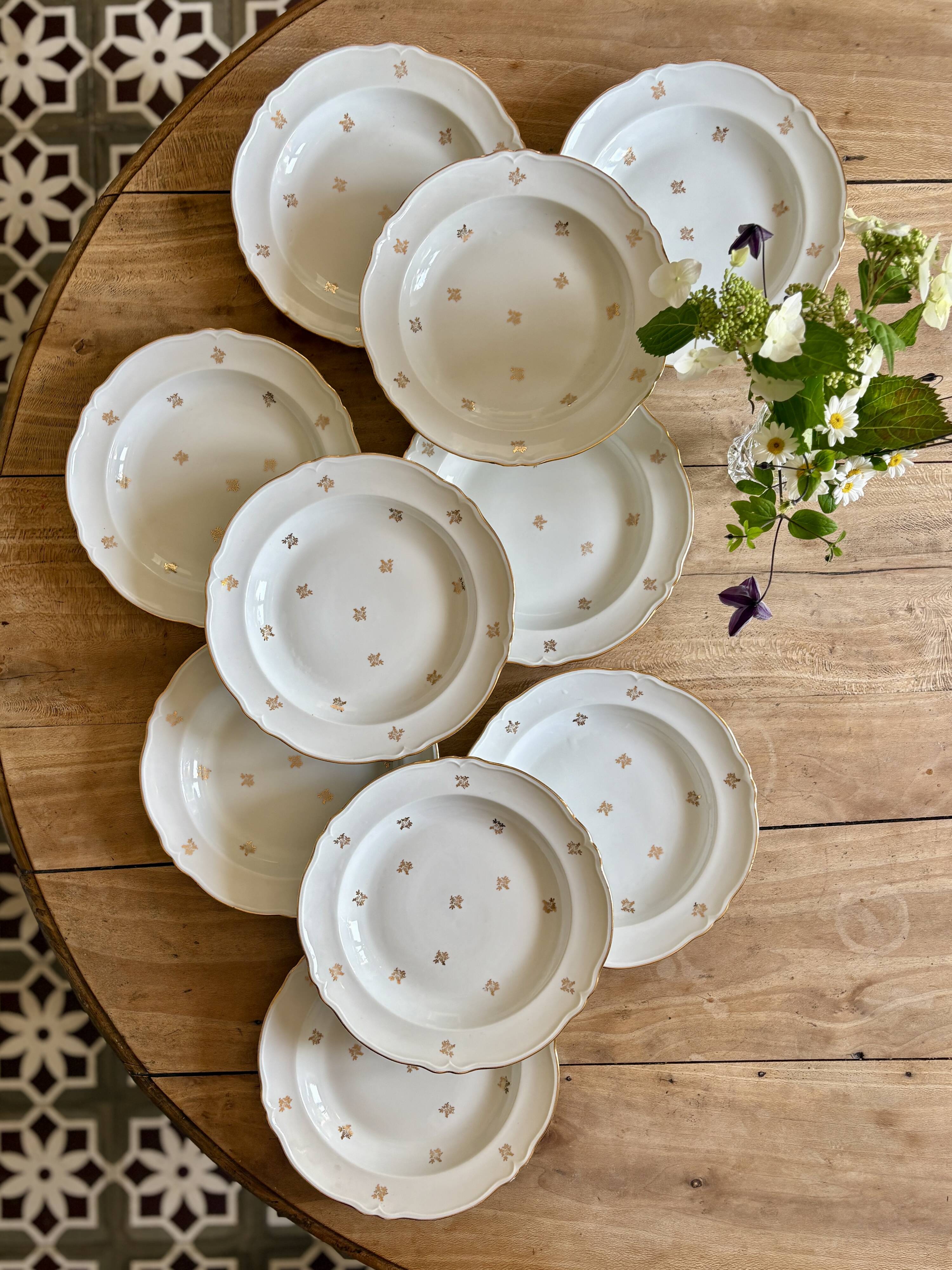 Set of 10 vintage Limoges porcelain soup plates