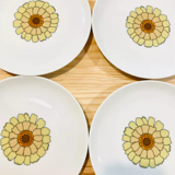 7 porcelain plates 70s bavaria
