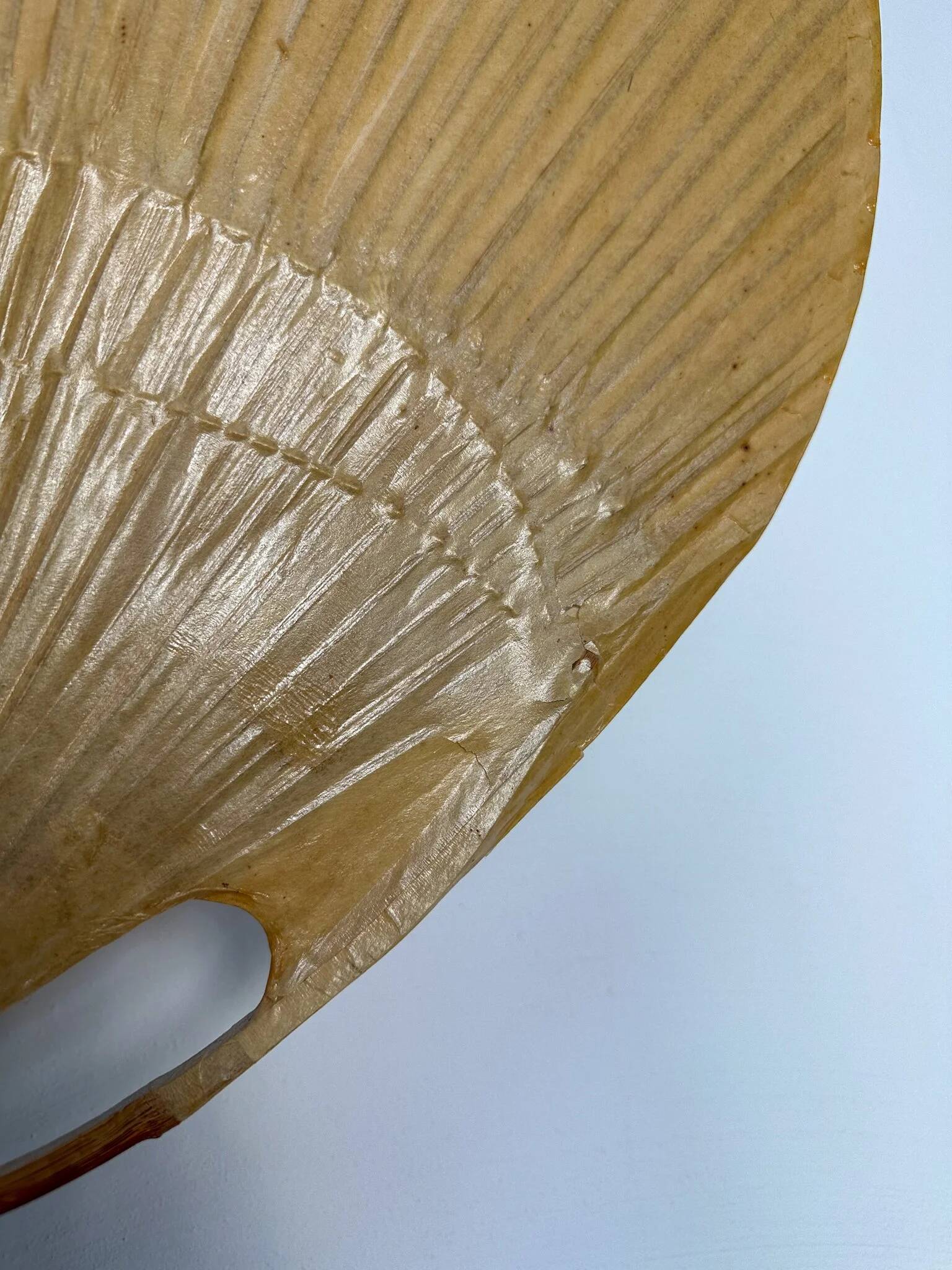 1970s Vintage Ingo Maurer for M-Design Uchiwa III Bamboo Wall Light