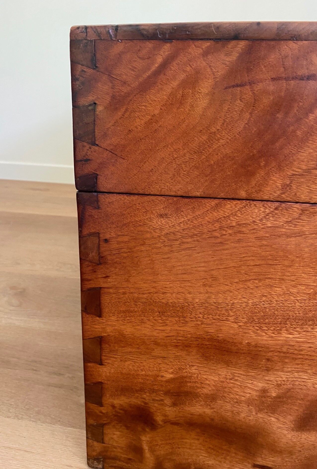 Chinese chest in camphor tree