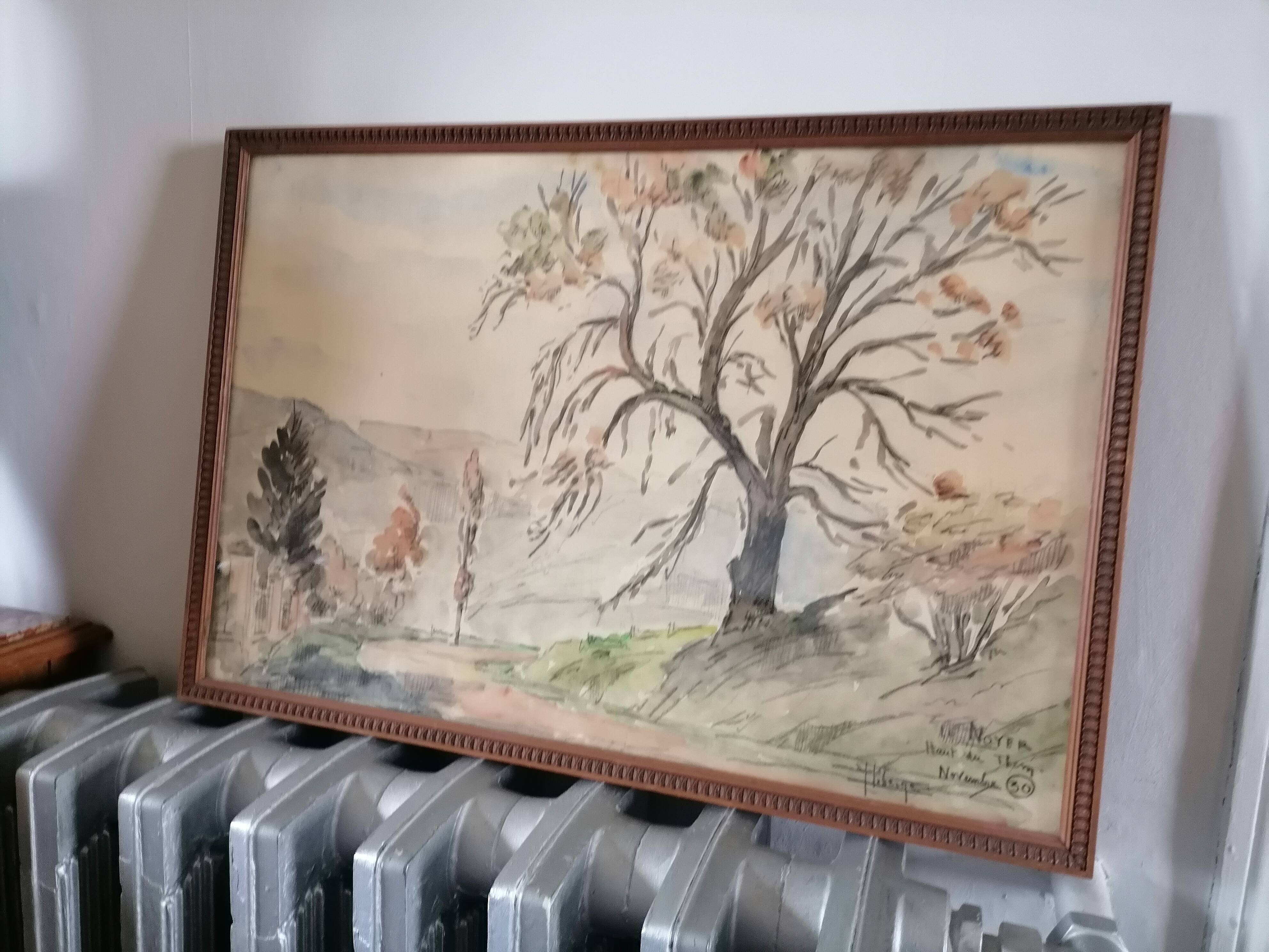 Watercolors. year. 30