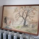 Watercolors. year. 30