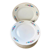 12 flat plates Digoin Sarreguemines Canada