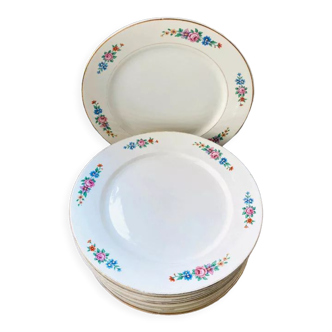 12 flat plates Digoin Sarreguemines Canada