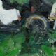 Peinture moderne suédoise 1973 huile sur panneau Ove Olson (1903-1975)