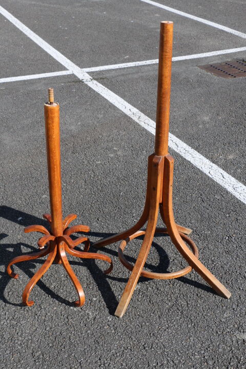 Parrot coat medium baumann beech