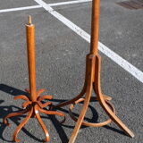 Parrot coat medium baumann beech