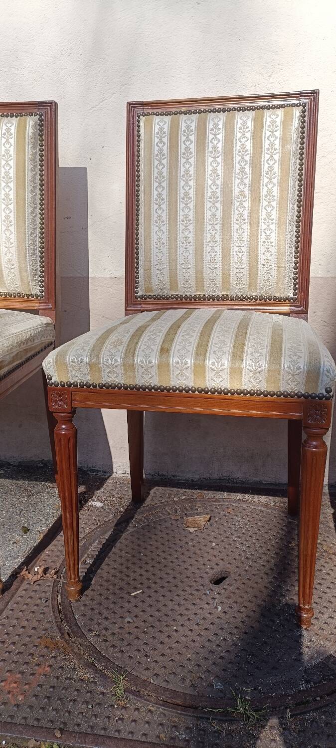 Lot 6 Louis chairs, 16