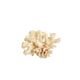 Corail blanc