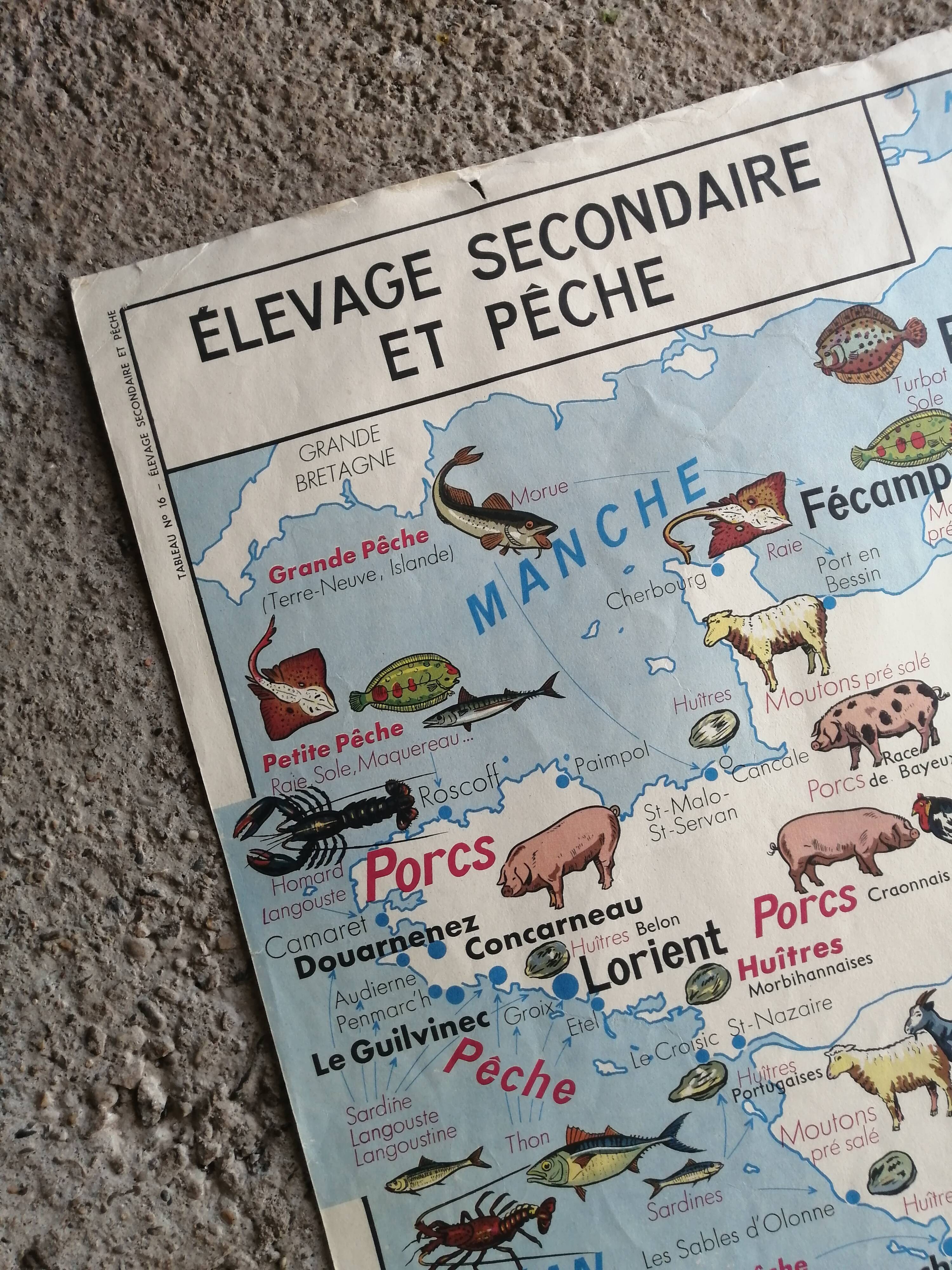 Old MDI school map: France: Secondary breeding and fishing / route