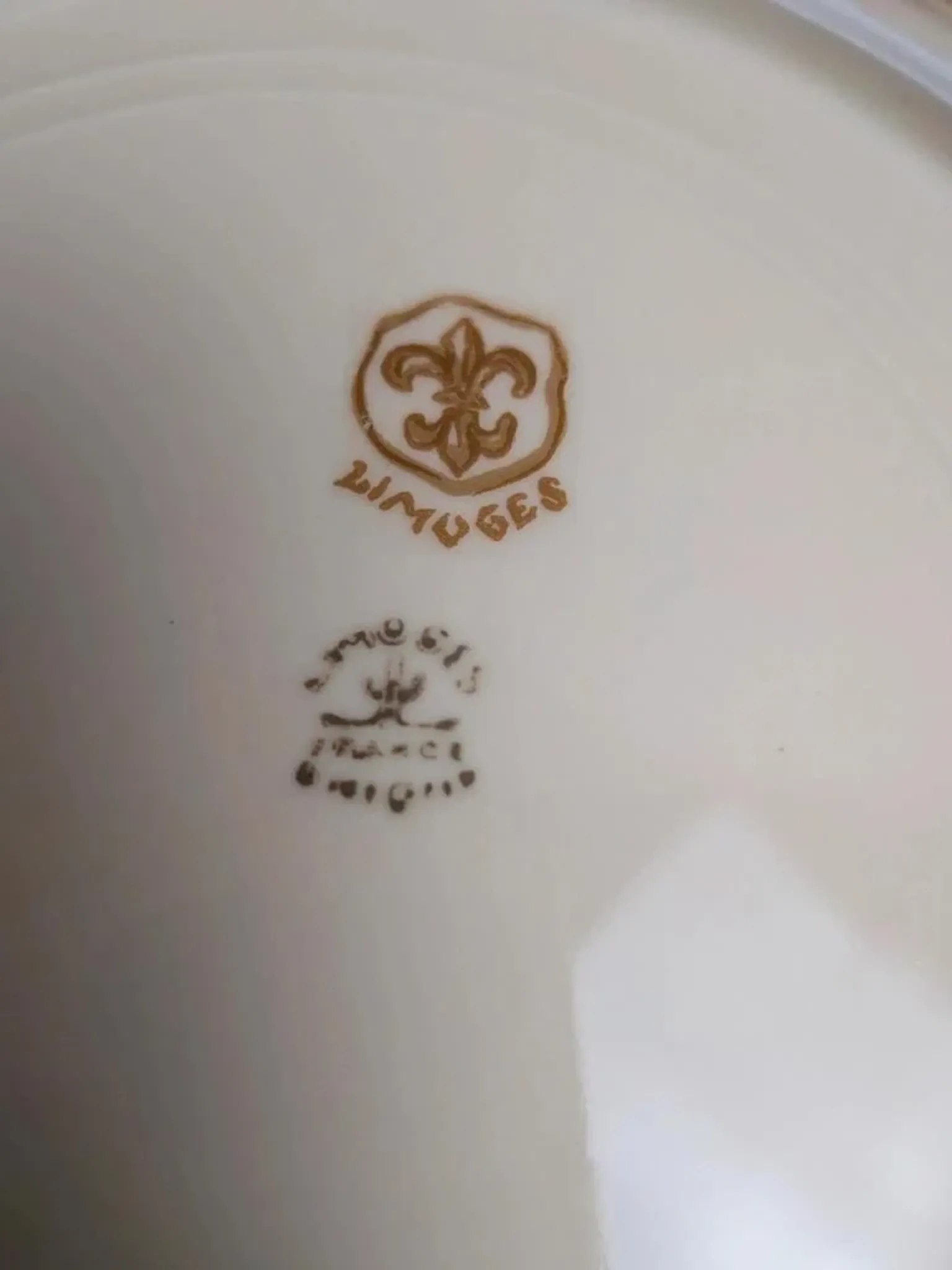 Set of 2 antique Limoges porcelain plates – Golden friezes