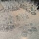 Lot de verres Baccarat modèle Lorraine
