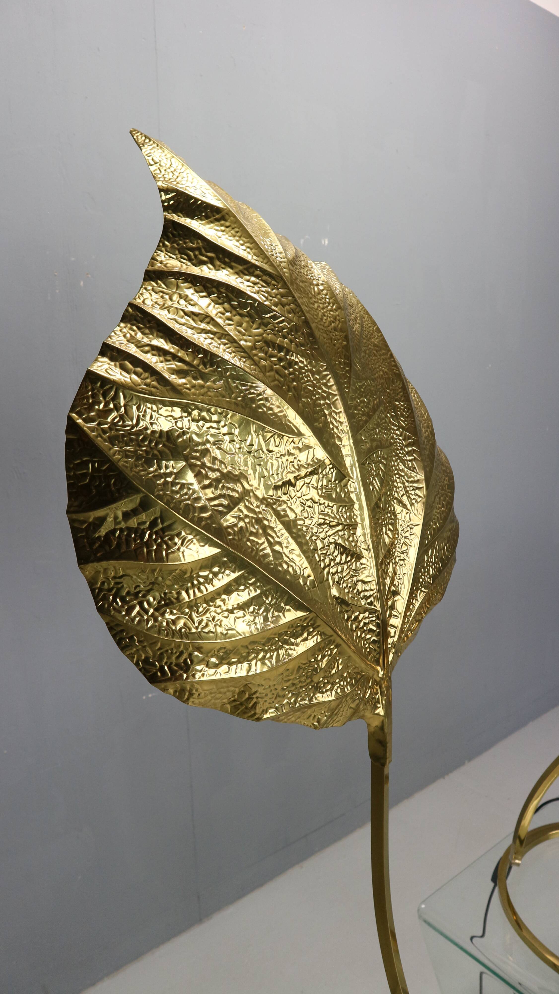 Tommaso Barbi "Rhubarb" floor and table lamp by Bottega Gadda Italy, 1970