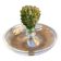 "Cactus" bowl in crystal and glass paste - Daum, Hilton McConnico