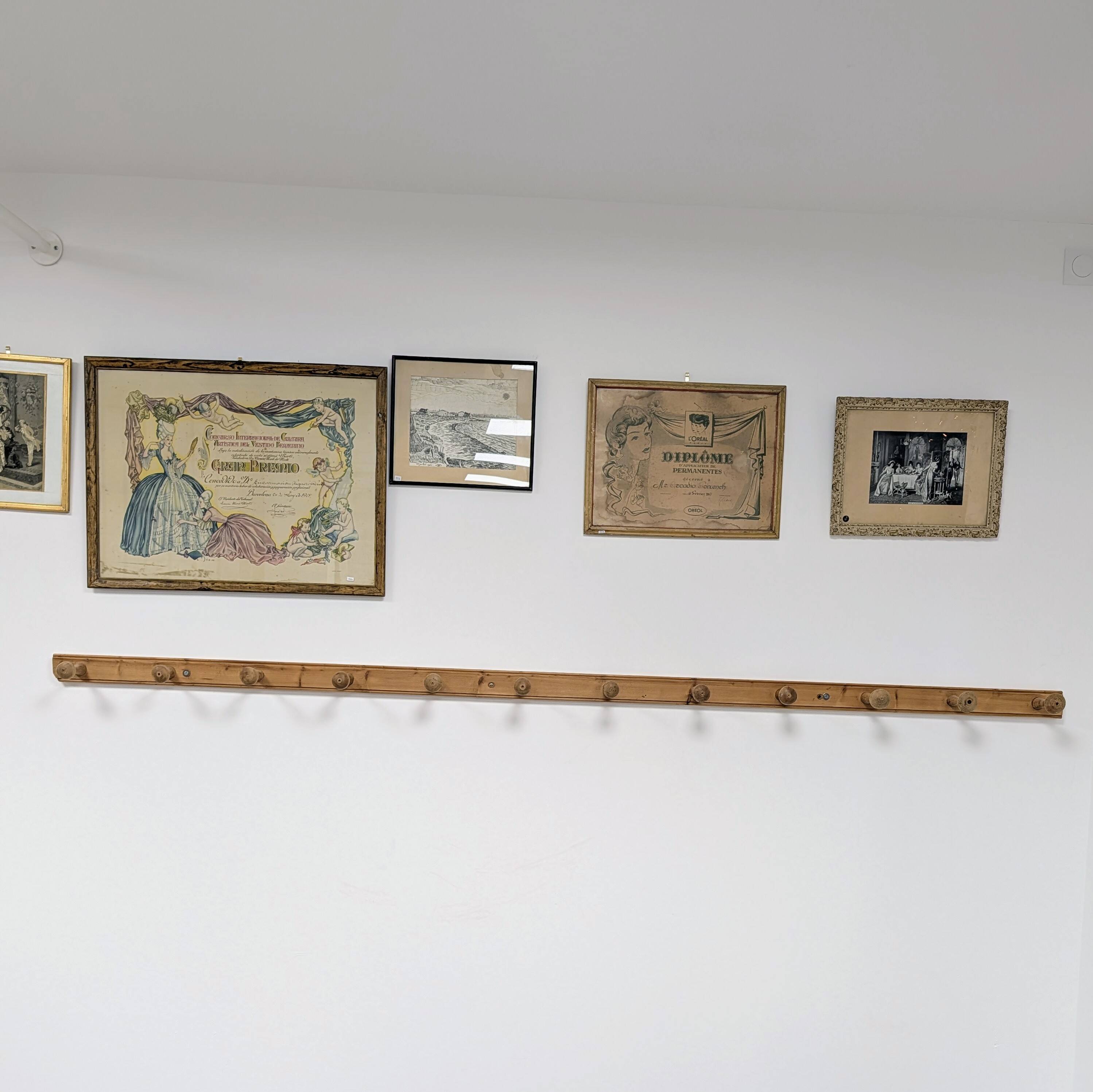 Wall-mounted coat rack with 12 hooks