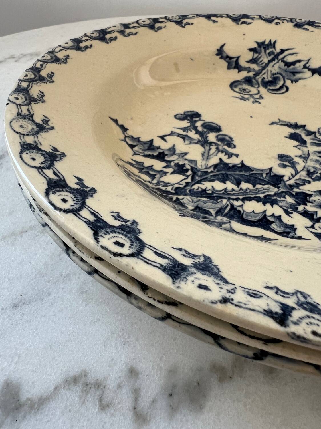 Deep plates Terre de Fer thistles Gien