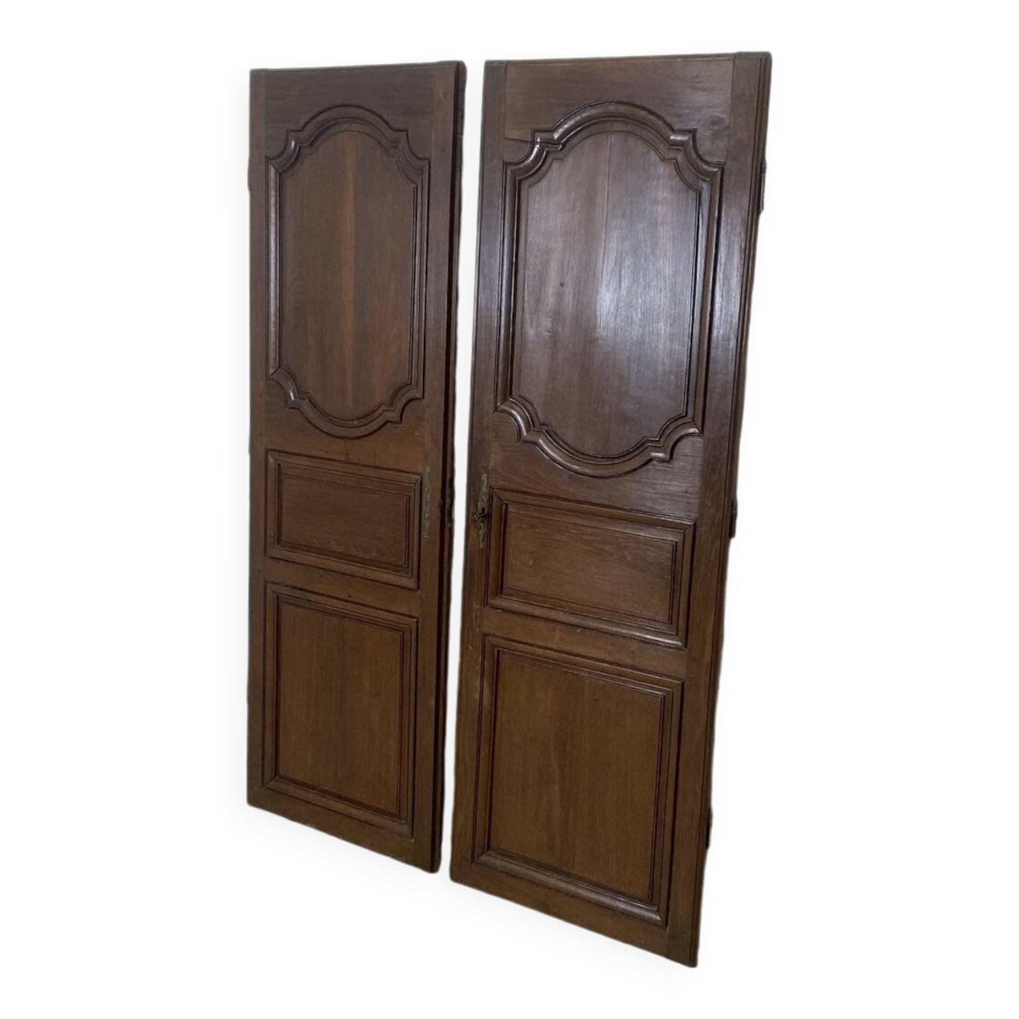 Pair of 19th century oak cabinet doors