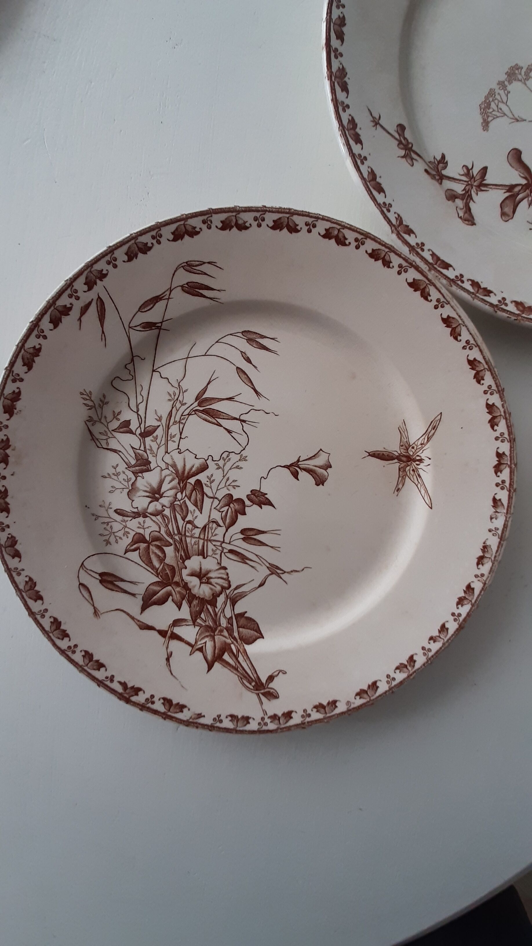 Lot of iron earth plates