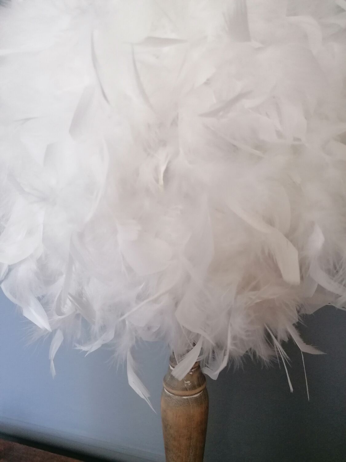 Lampe à plumes