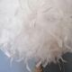 Lampe à plumes