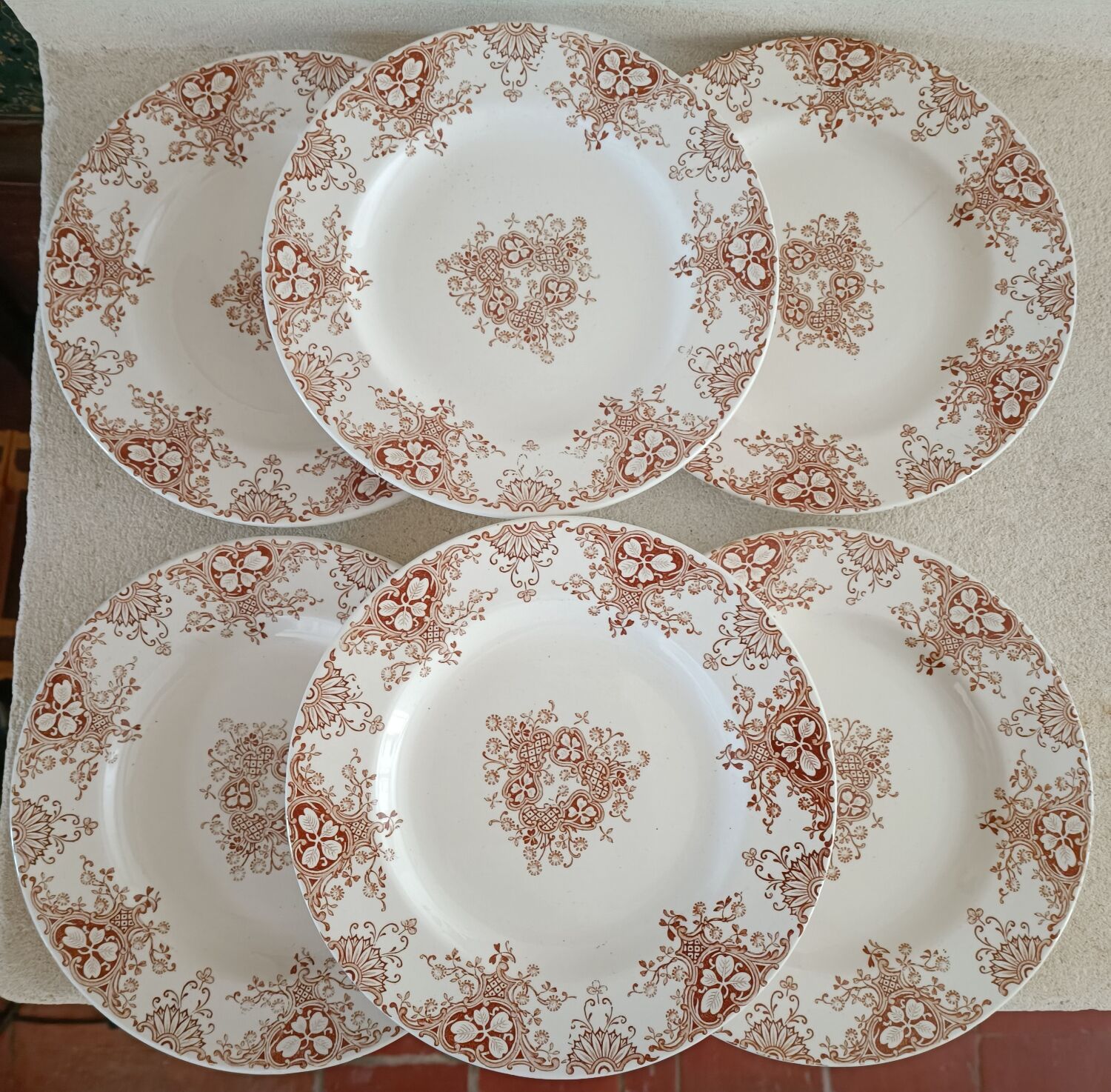6 plates and vegetable iron earth Lunéville
