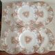 6 plates and vegetable iron earth Lunéville