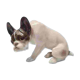 F. Diller Porcelain French Bulldog Rosenthal, 1930s