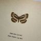 Old Engraving Butterfly Lithograph Naturalist Vintage Plate
