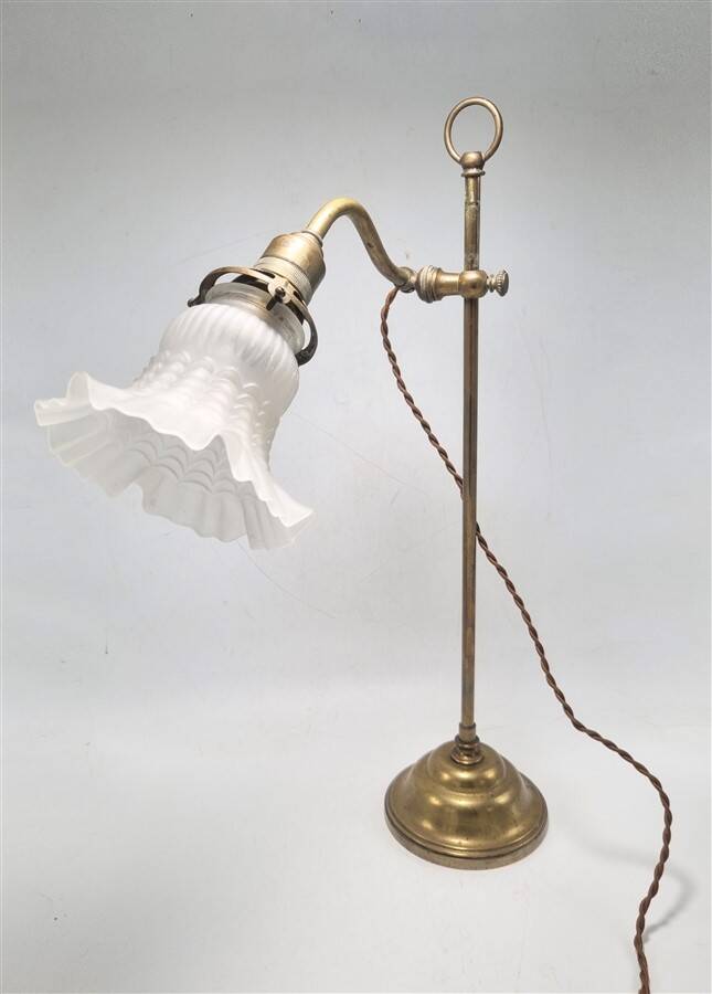 Swan neck lamp
