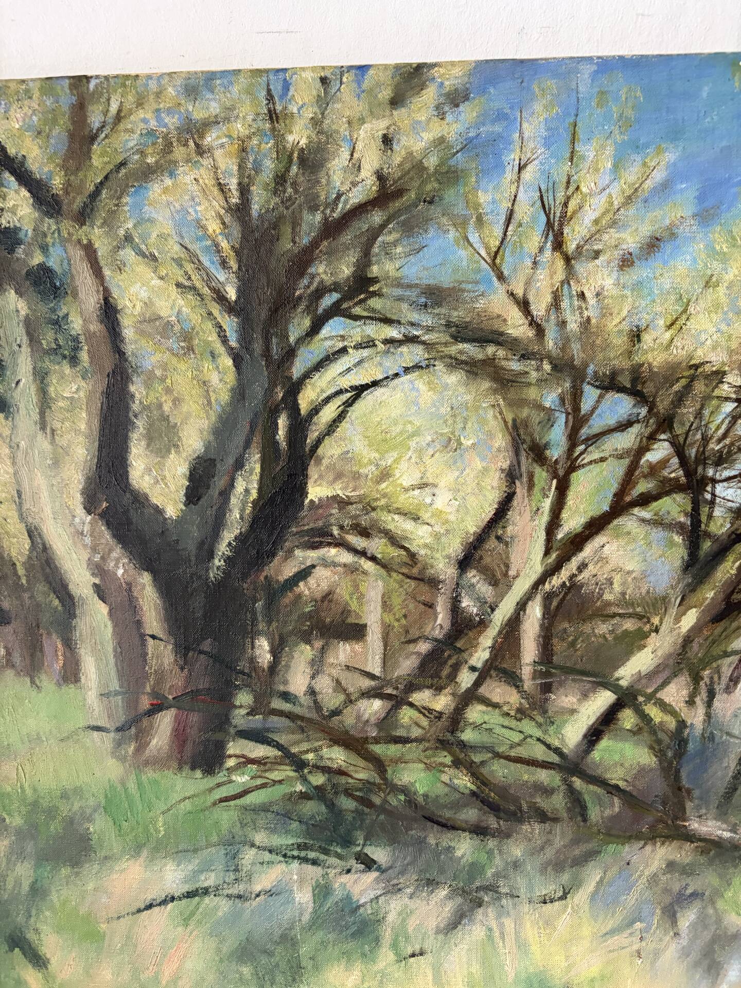 Paysage de forêt, huile sur toile signée Taquoy