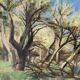 Paysage de forêt, huile sur toile signée Taquoy