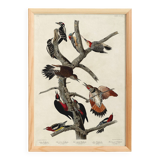 Poster about the peaks, based on an old engraving from 1827.