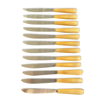 Coffret 12 couteaux anciens