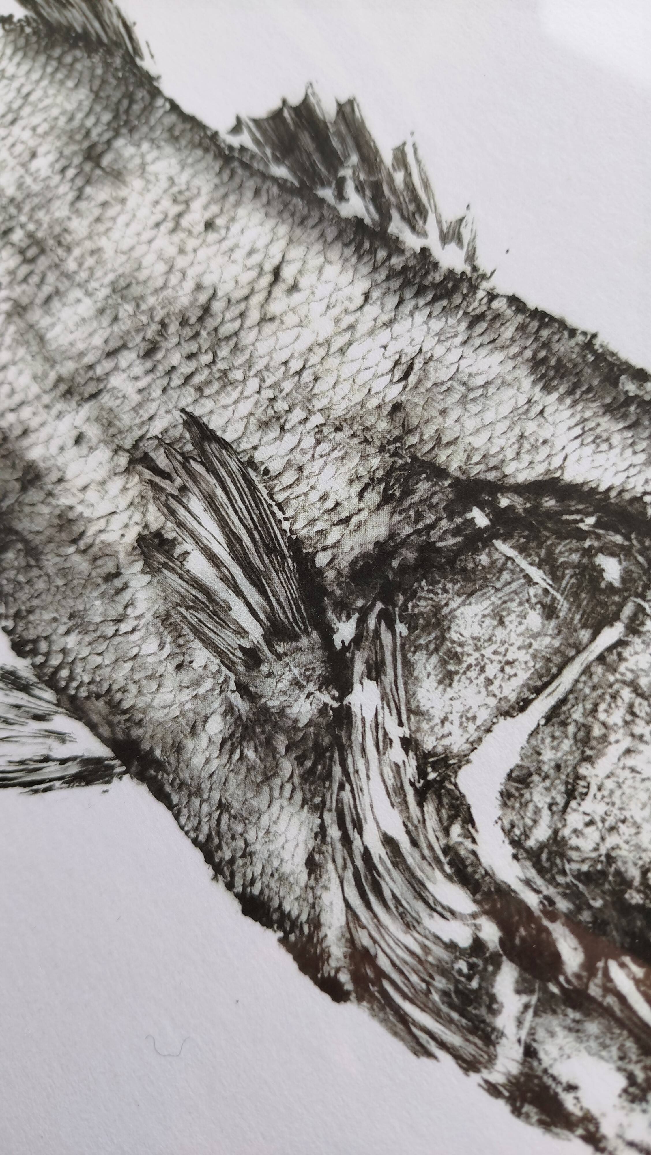 Framed art print, "Print of a bar" (gyotaku)