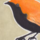 Oiseau "Gregori" - Dessin original