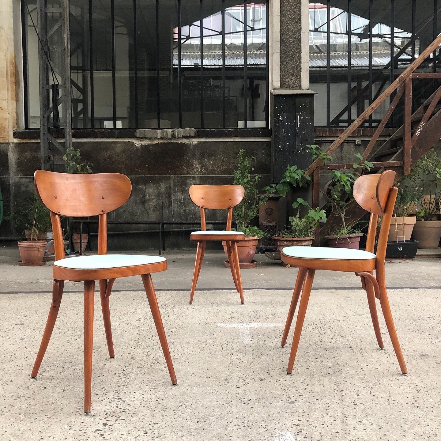 Suite de 6 chaises Baumann modèle 731 G1S, 1960
