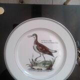 Assiettes Paradiso