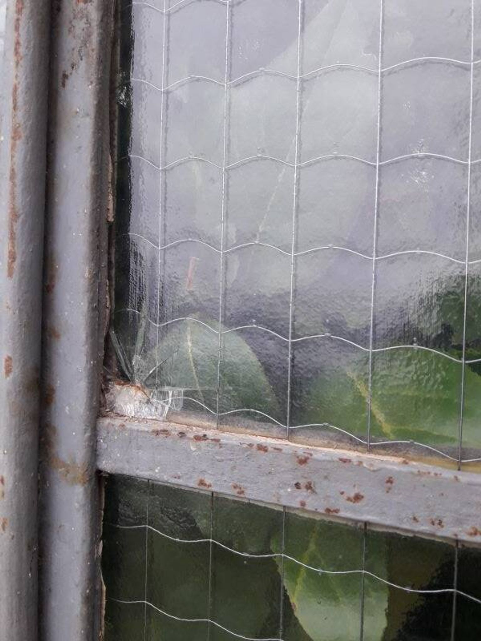 Window L107xH174 industrial curved metal glass roof frame reinforced glass