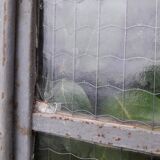 Window L107xH174 industrial curved metal glass roof frame reinforced glass