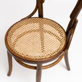 Chair No. 14 in curved wood and Fischel tanned seat