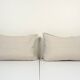 Paire de coussins Ikat