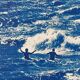Cyanotype - les baigneurs