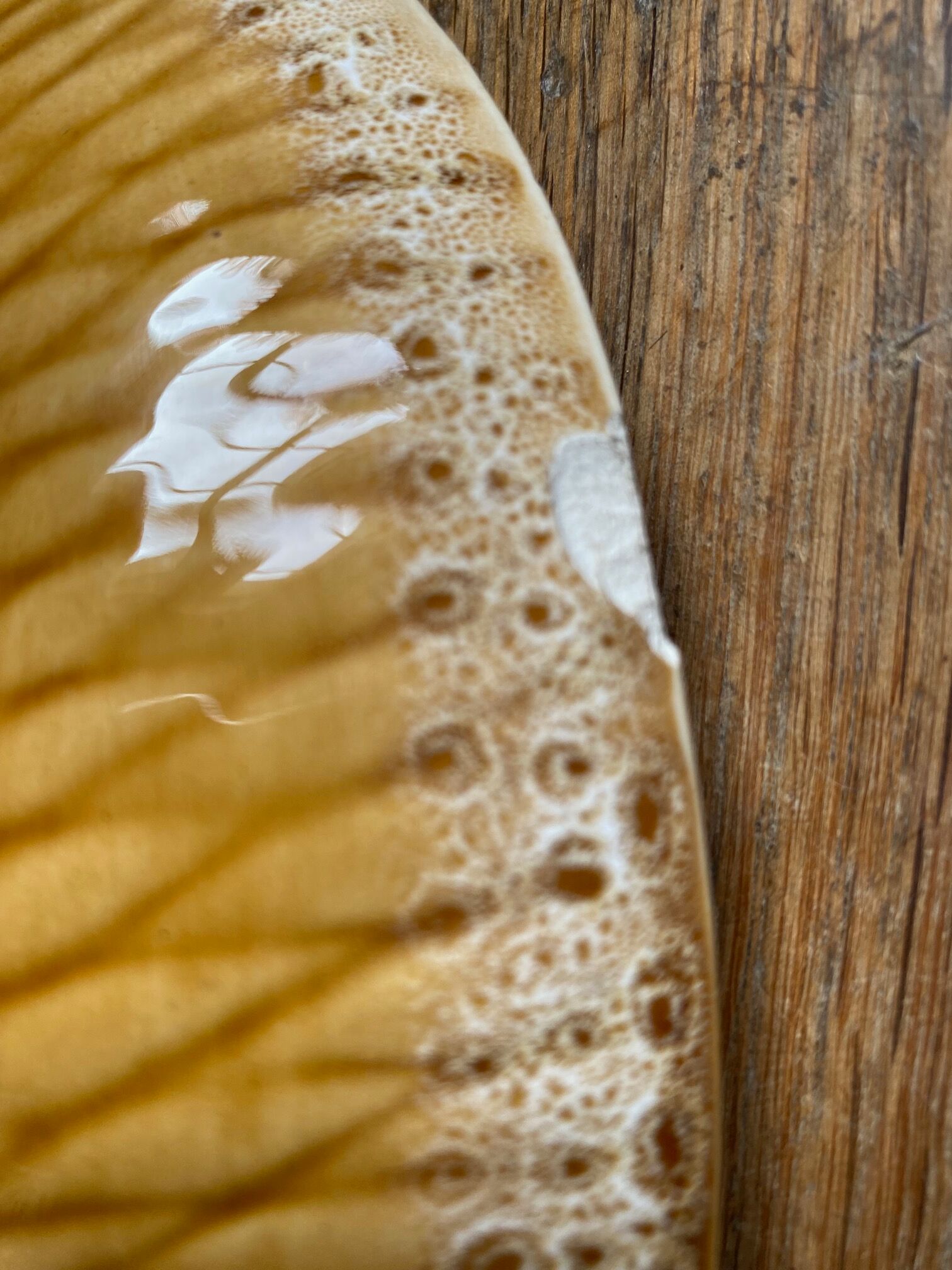 Bouillabaisse dish Sarreguemines