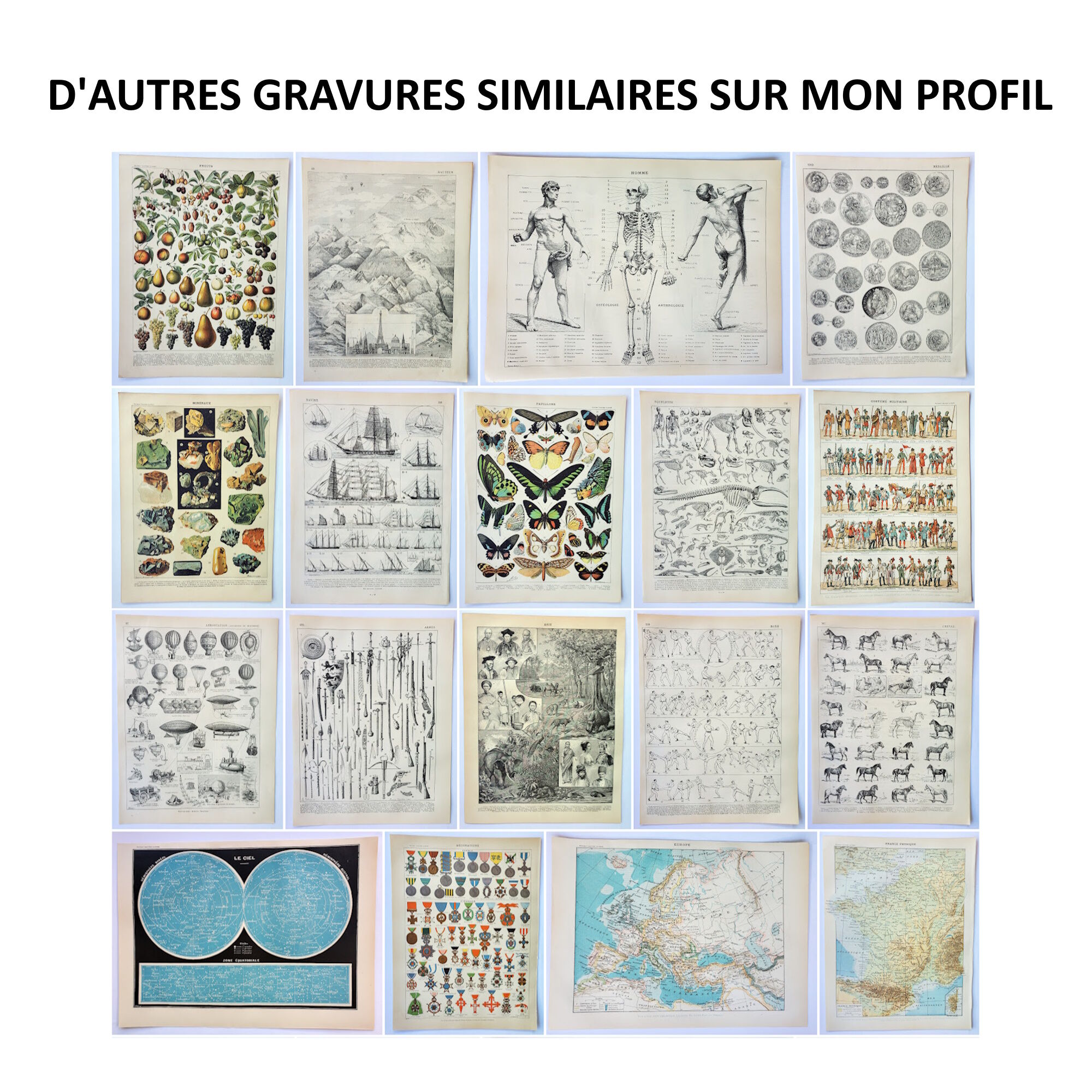 Gravure • Navigation, marine, pavillon • Affiche originale et vintage de 1898